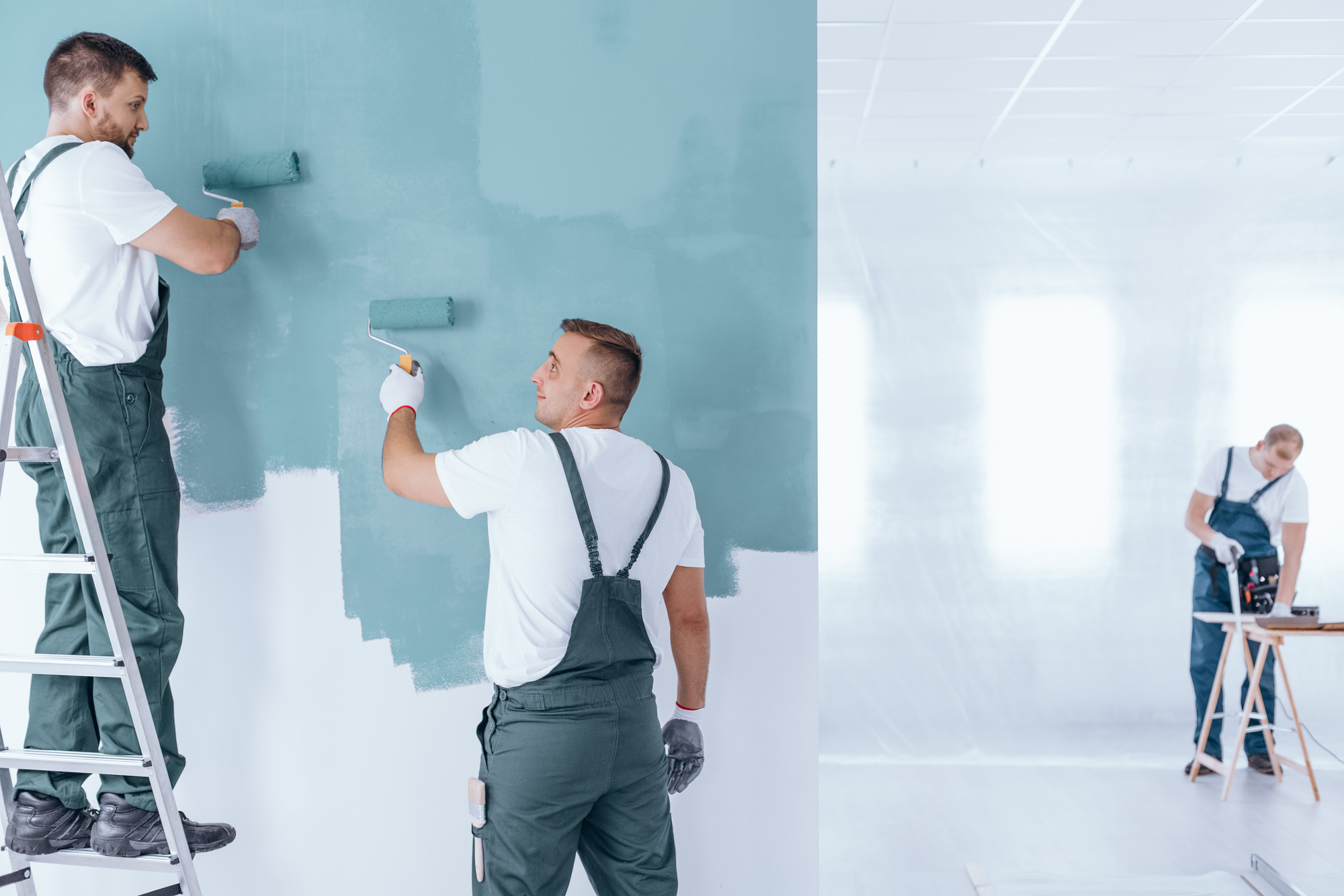 professional-house-painters